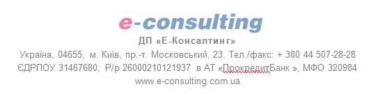 E-Consulting